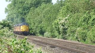 37116 37057 37175 37254 Attenborouigh Nature reserve 2nd June 2024 0Z70 09 45 Derby RTC Colwick [upl. by Adnorahs855]