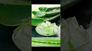 Aloevera Cutting ASMR alovera aloevera aloeveragel gardentour epicgardening asmrcutting asmr [upl. by Alix]