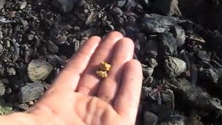 Garrett Infinium finds 14 OZ Gold Nugget in N California [upl. by Ahsauqal]