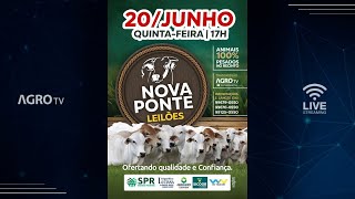 NOVA PONTE LEILÕES AO VIVO  NOVA PONTE MG [upl. by Ardekal]