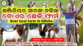 ମହାରାଷ୍ଟ୍ର ରୁ ଆସିଲା ବୋଏର ଛେଳି  Commercial Boer Goat Farm in Odisha  Krushak sathi odisha [upl. by Enorahs]