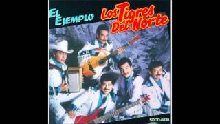 Los Tigres del Norte  El Tamal [upl. by Ettevets531]