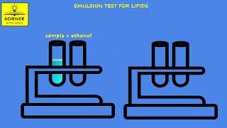 LIPIDS animation EMULSION TEST FOR LIPIDS [upl. by Elrebma]