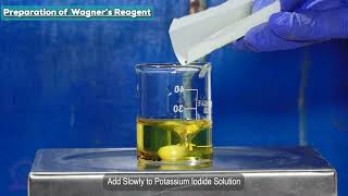 Wagners Reagent [upl. by Mattias]