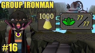 WE ARE RANK ONE HERBLORE  HC GROUP IRONMAN 16  ft Alkan Alfie and Zulu OSRS [upl. by Rammus]