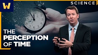 How We Perceive Time  Sean Carroll [upl. by Dranek148]