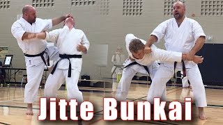 Practical Kata Bunkai Jitte Flow Drill [upl. by Nossaj]