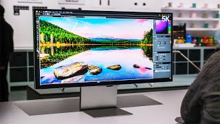 Best Dell Monitors  Top 10 in 2024 [upl. by Yrellih398]