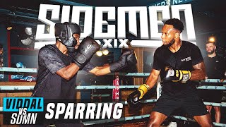 VIDDAL RILEY VS THE SIDEMEN FULL SPARRING [upl. by Anawed]