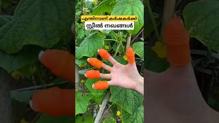 മികച്ച ഒരു കണ്ടുപിടുത്തം thumb knife cutter malayalam shorts [upl. by Herald808]