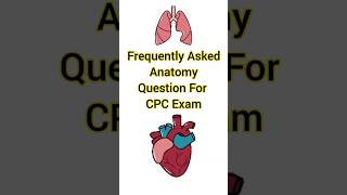 Frequently Asked Anatomy Question For CPC Exam  Medical Coding  Human Anatomy And Physiology cpc [upl. by Malanie610]