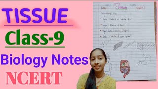 NCERT biology class 9 ch 2 tissues noteshandwrittenpdf in description of table [upl. by Gefell]