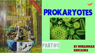 Prokaryotes Biology Class 11  All concepts and theories in detailed  with Muhammad khuzaima [upl. by Tallulah888]