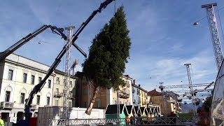 Trasporto e posa albero di natale  Piazza Grande Locarno [upl. by Chap236]