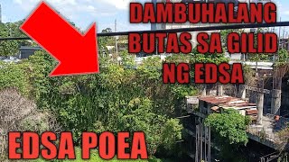 PINAKAMALAKING BUTAS SA GILID NG EDSAPOEAEDSABUTASMETRO MANILAedwinoebiasmandaluyongcity [upl. by Attelrak]