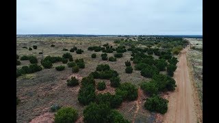 STERMER RANCH  3295 acres Hardeman County TX [upl. by Klug196]