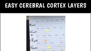 Cerebral Cortex Layers Made Easy [upl. by Fedora]