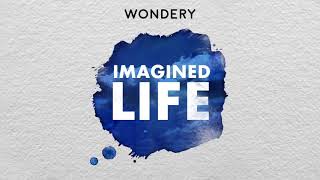 Imagined Life  FULL EPISODE The Hothead [upl. by Lindo866]