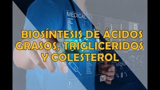 BIOSINTESIS DE LIPIDOS Ácidos grasos Triacilglicéridos y Colesterol [upl. by Ojimmas743]