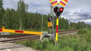 79 Million Views  Level Crossing  Kvarnvägen Korsträsk  Norrbotten Sweden [upl. by Rialcnis]