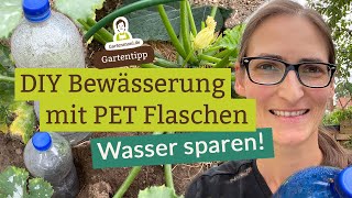 DIY Tropfbewässerung mit PET Flaschen  Ollas selber basteln und Wasser sparen beim Gießen [upl. by Airyk]