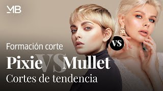 Pixie VS Mullet Cortes de tendencia [upl. by Ambrosi382]