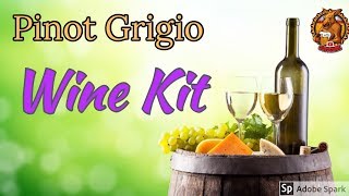 Making Kit Wine “Pinot Grigio” How to make wine [upl. by Matronna]