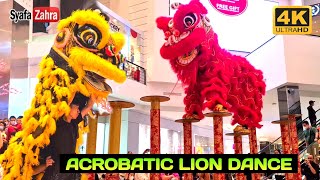 🔴 Acrobatic LION DANCE CNY 2023  BARONGSAI MAHA VIRYA [upl. by Dole]