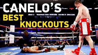 Best Knockouts Of Canelo Alvarez Boxing HD [upl. by Slin]