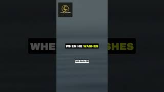 Wudhu washes away your sins  Hadith wudhu sins [upl. by Iggie237]