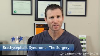 Brachycephalic Syndrome The Surgery [upl. by Shinberg249]