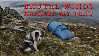 VERY STRONG WINDS AND RAIN SUMMIT CAMP  Solo Wild Camping Pike of Blisko Lake District UK [upl. by Norehc175]