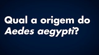 Qual a origem do Aedes aegypti [upl. by Imaon]