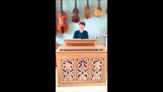 Paul van der Voort plays a Witteveen box organ 2016 [upl. by Bezanson]