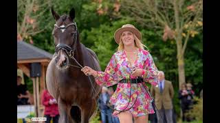 Trot up at Boekelo 2023 [upl. by Island]