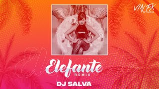 ELEFANTE  Remix DJ Salva  Vin Fx Studio [upl. by Adnorhs]