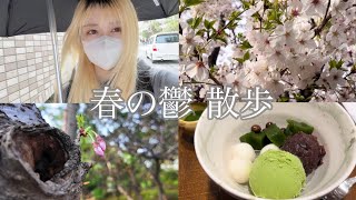 限界鬱☆桜大好きセロトニン散歩・購入品開封の儀【vlog】 [upl. by Alton]