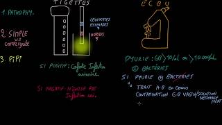 Infections urinaires  Sepsis woman  Episode 2  Docteur Synapse [upl. by Alemat335]