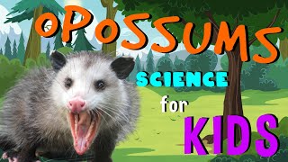 Opossums  Science for Kids [upl. by Cressy79]