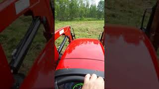 Bushhoging with the massey 2607 [upl. by Aehsan791]