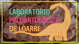 🦕LABORATORIO PALEONTOLÓGICO DE LOARRE  Descubriendo huevos de dinosaurio [upl. by Yuu]