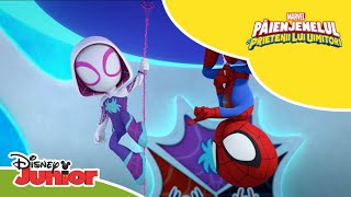 👀 Avem un intrus  Păienjenelul Marvel și prietenii lui uimitori  Disney Junior România [upl. by Cicenia317]