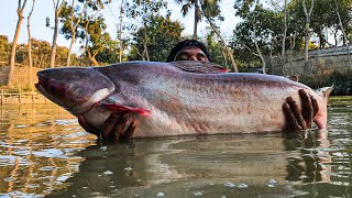 Worlds Best Cast Net Fishing In Pond fish bigfish fishing [upl. by Viki]