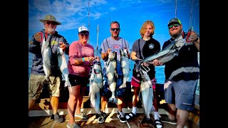 LAKE MICHIGAN SALMON FISHING REPORT AUGUST 20 [upl. by Gannon]