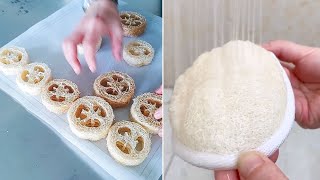 The Best Sustainable Products  Best Loofah Products  Loofah Sponge DIY [upl. by Luing901]