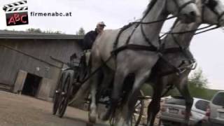 Fahr und Reitstall Wolfmayr in Altenfelden  Reiterhof und Reitschule im Bezirk Rohrbach [upl. by Aidan]