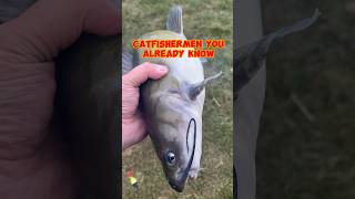 Use THIS Catfish Bait Bank Fishing For Catfish 🎣 shorts fishing [upl. by Enra785]