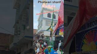 Phulwari Sharif karbala moharram1444 bihar Patna phulwarisharif karbala love 1millionviews [upl. by Atelahs792]