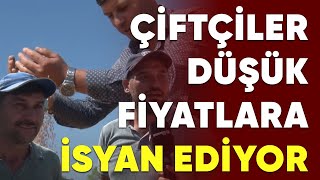 Çiftçiler TMOnun Düşük Fiyat Politikalarına İsyan Ediyor [upl. by Naujud]