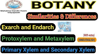 Protoxylem and MetaxylemExarch and EndarchPrimary xylem and Secondary Xylem [upl. by Malamud]